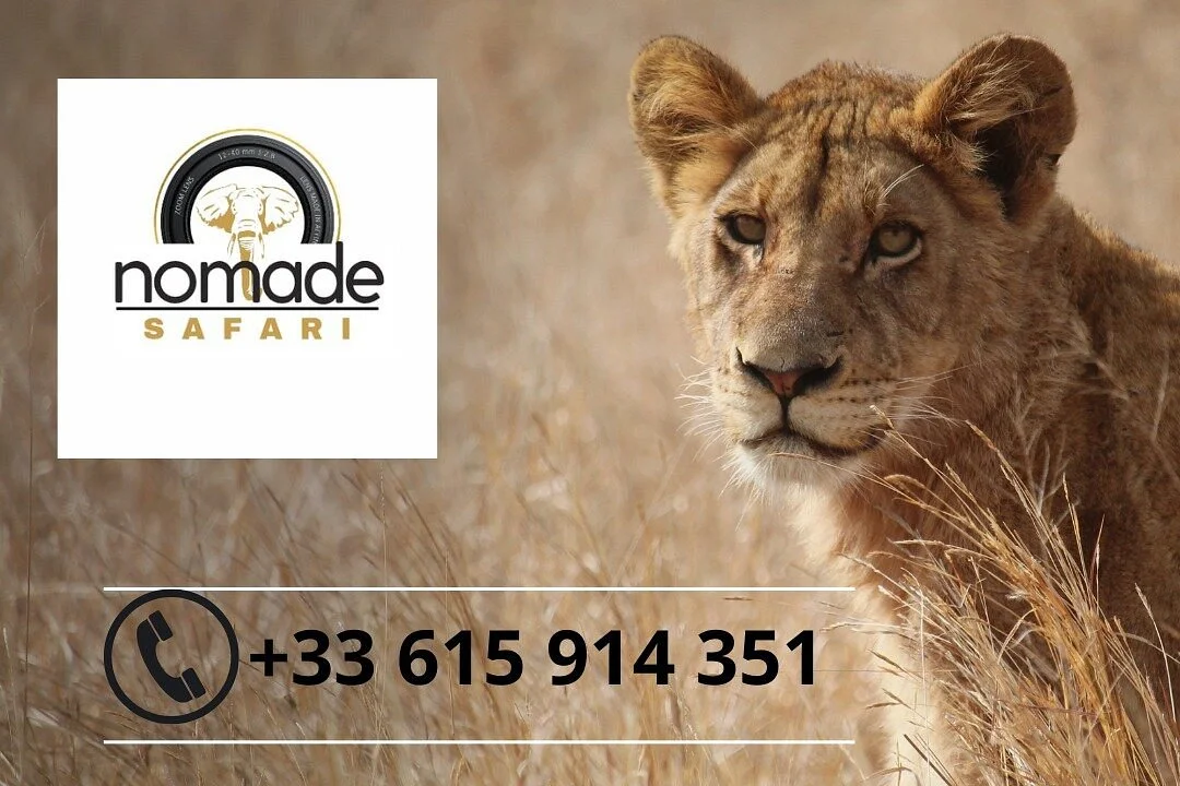 SAFARI KENYA