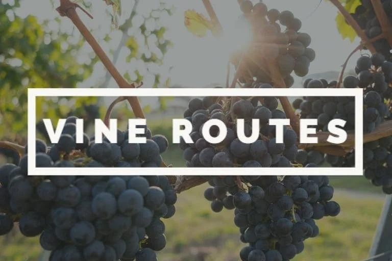 Vine Routes