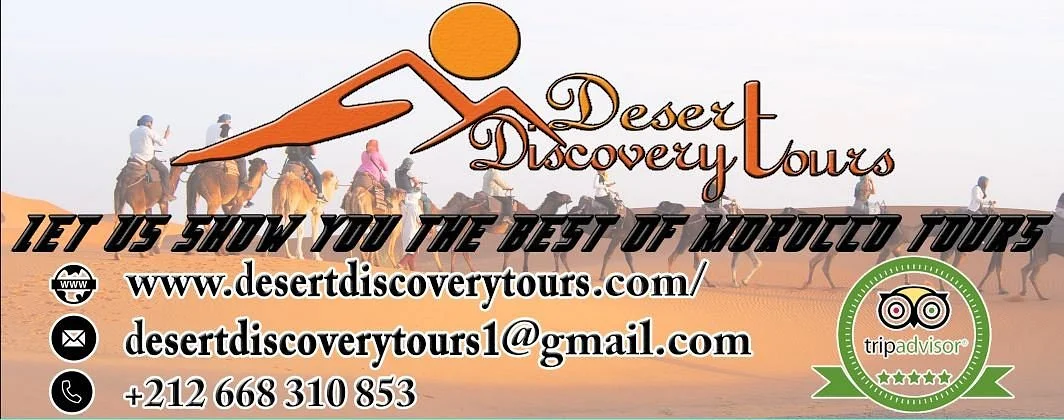 Desert Discovery Tours