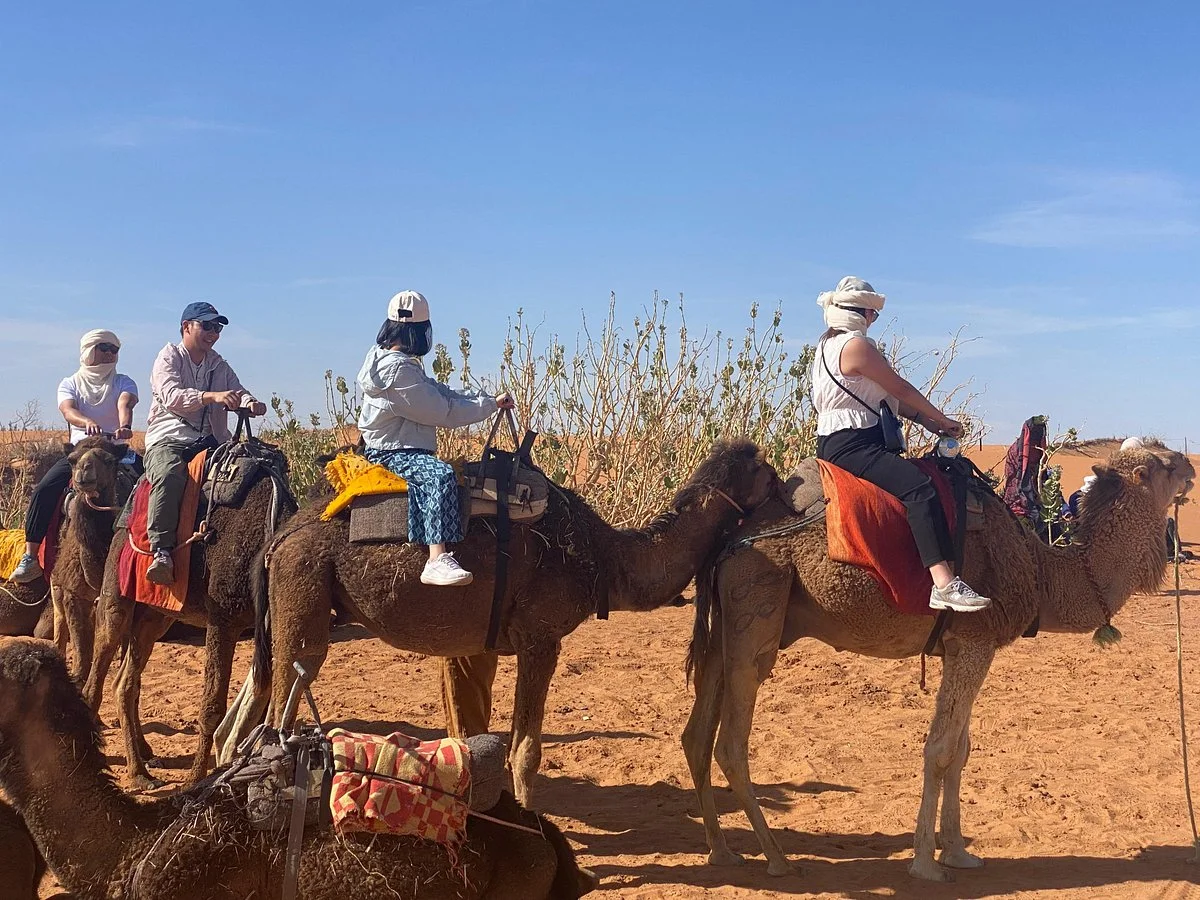 Trips Of Morocco - Private Day Tours