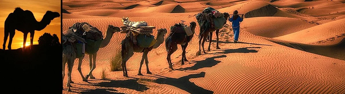 Caravane Rose du Sable