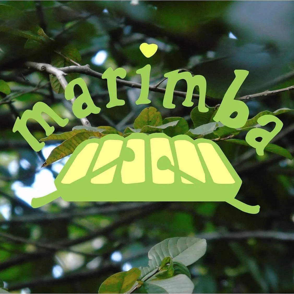 Marimba Cultural Tours Ltd.