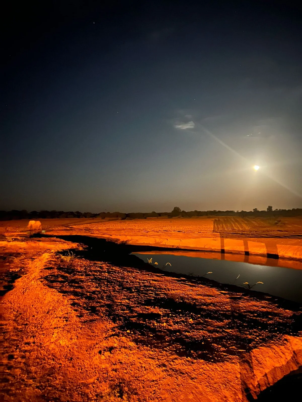 Rama Safaris & Day Tours