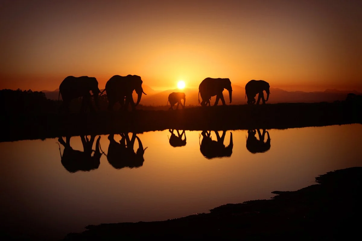 Your Transport