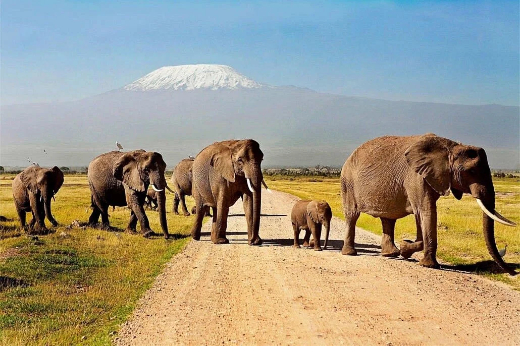 A & J Tours and Safaris - Day Tours
