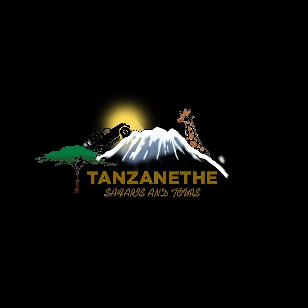Tanzanethe Safari & Tours