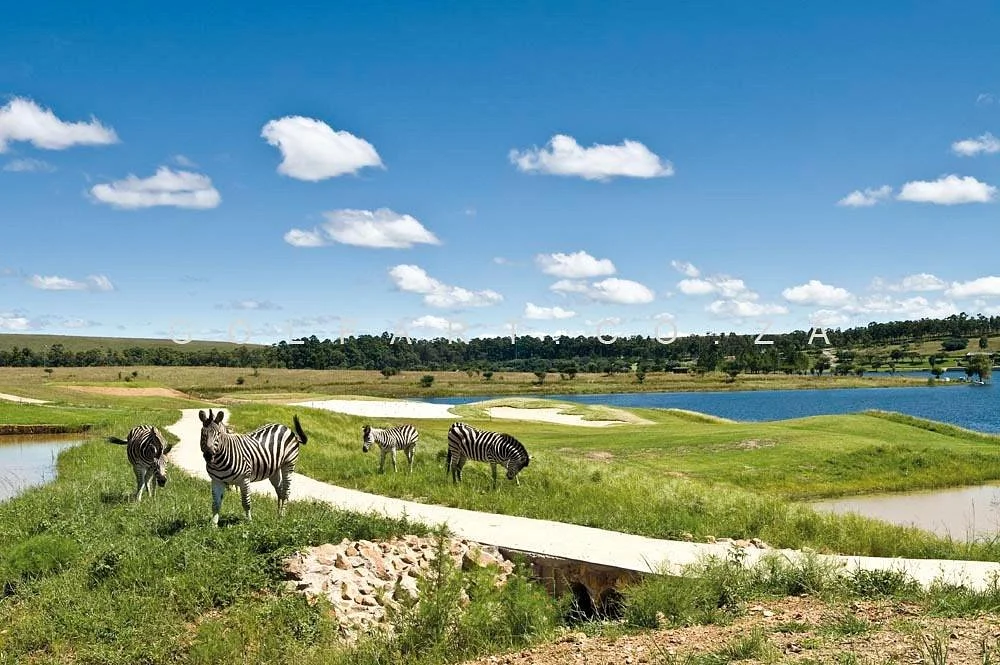 Bankenveld Golf Club