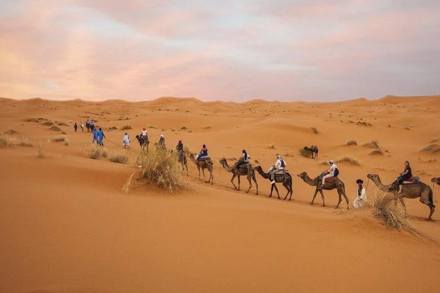 Sublime Desert