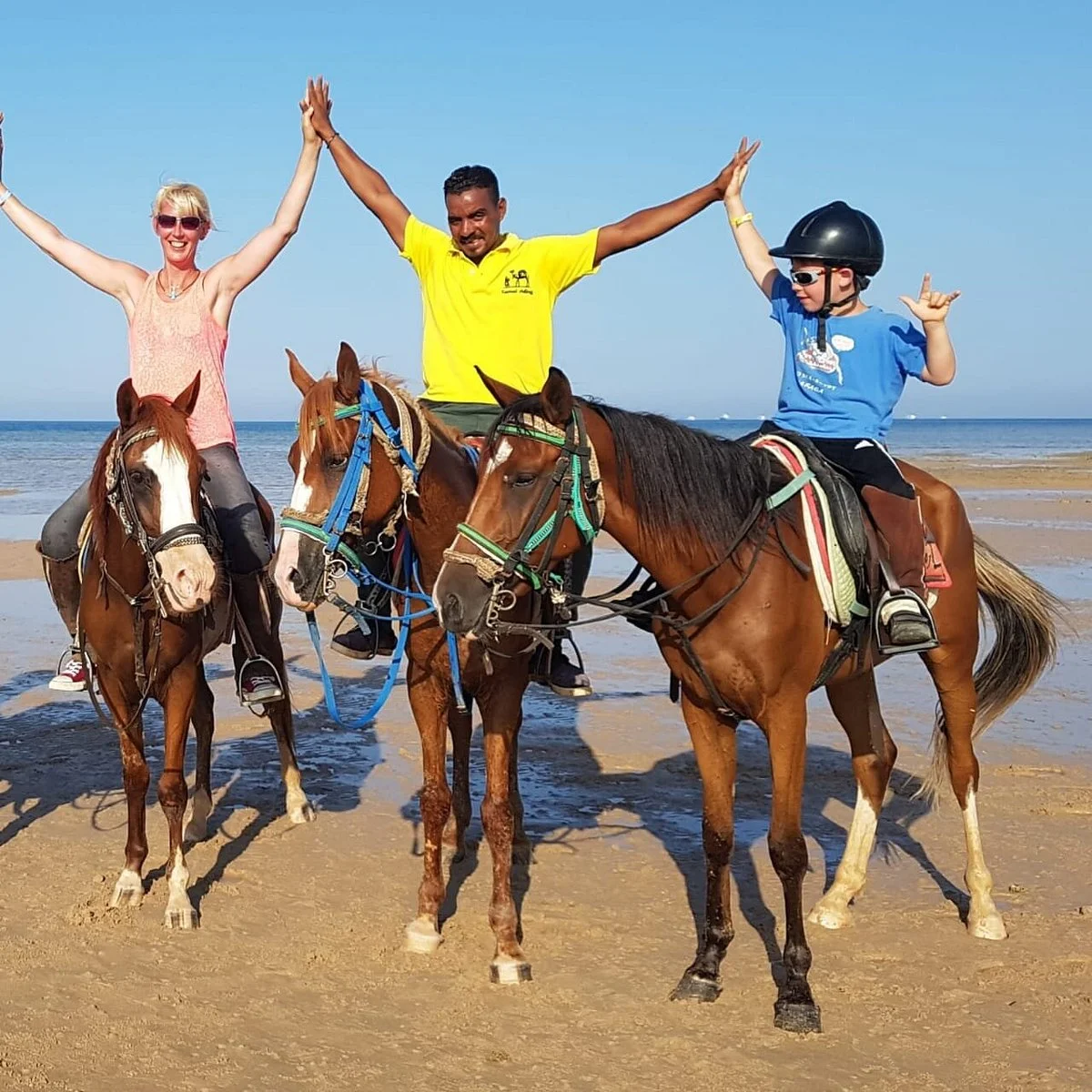 Memo Horse Club
