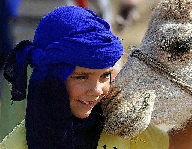 Sahara Local Tours