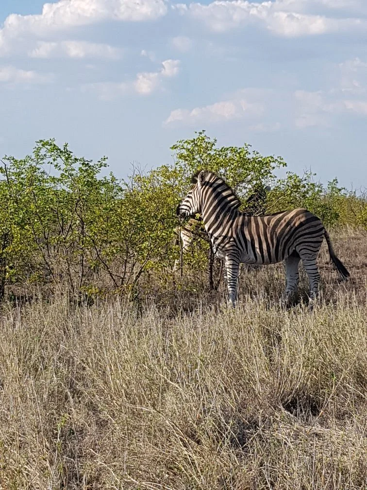 Phaphama Tours and Shuttle Services