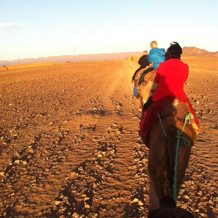 South Morocco Trips
