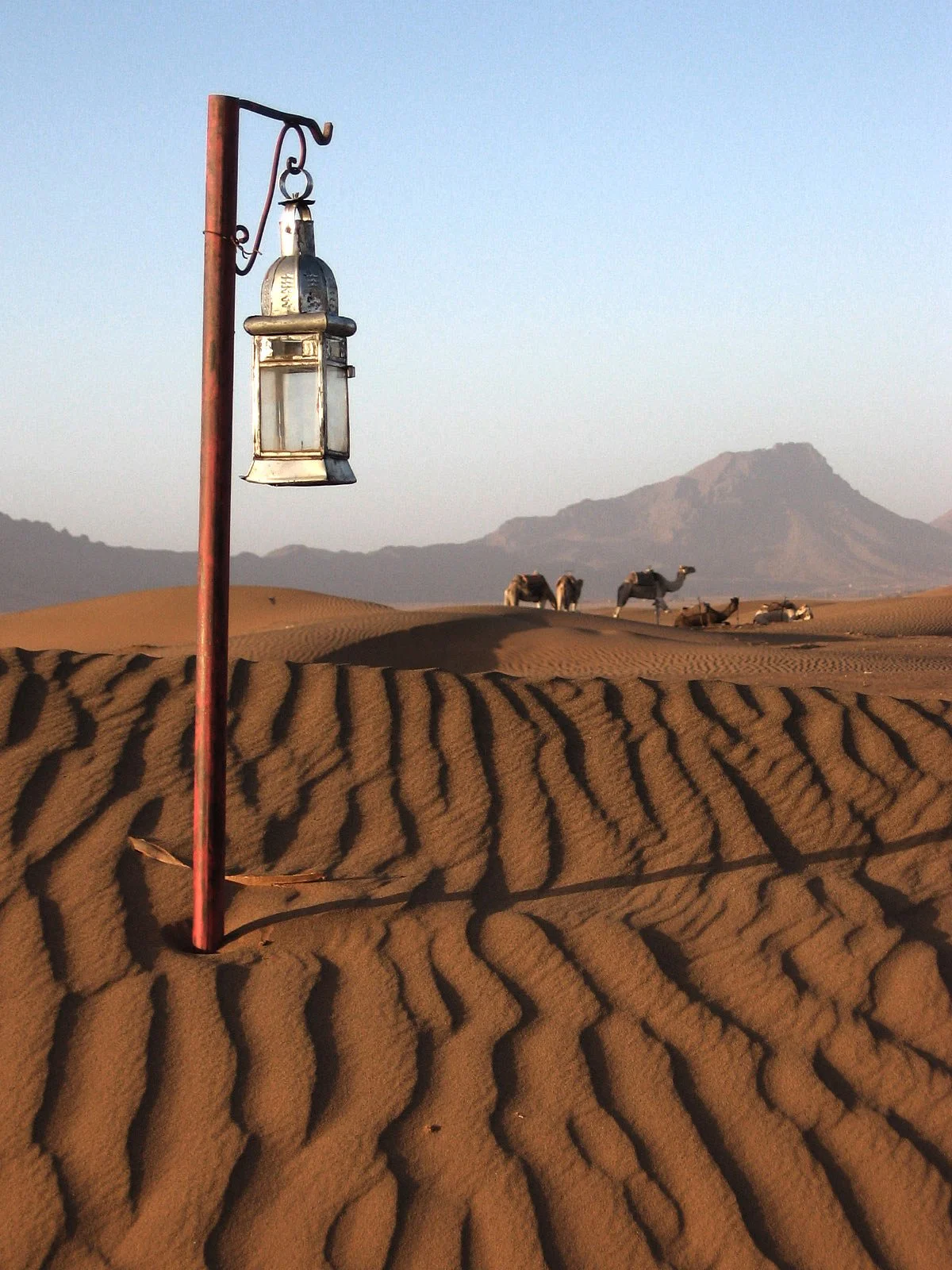 Amira Tourisme