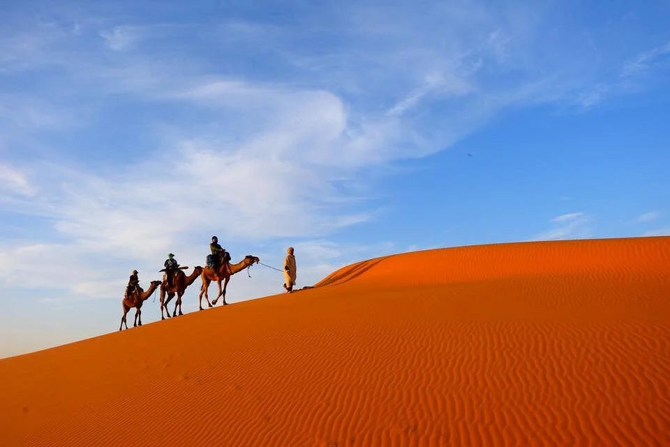 Best Morocco Trips