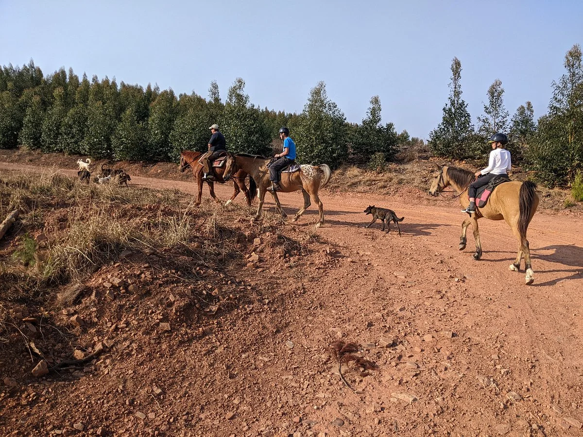 Bbk Trails