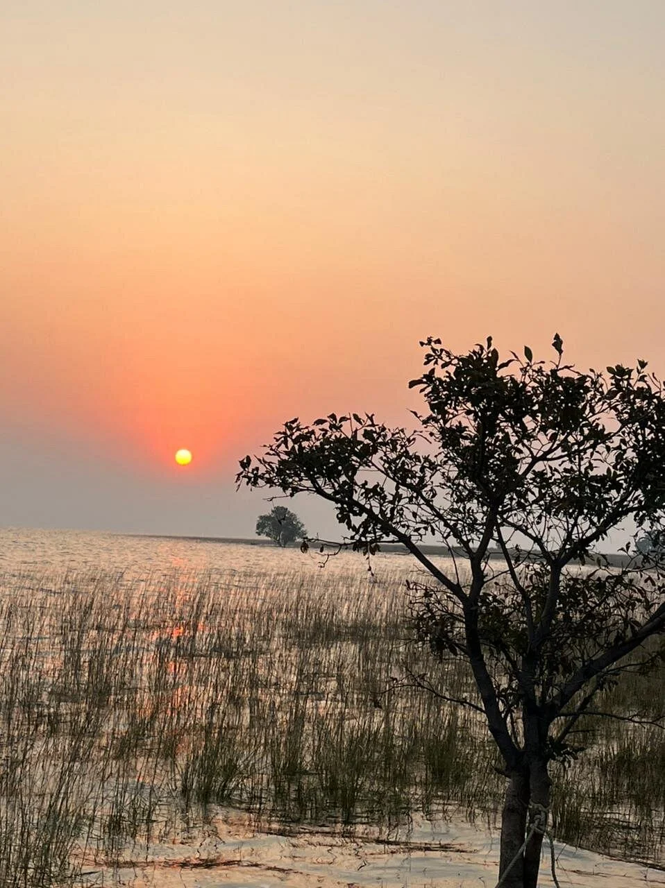 Debrigarh Wildlife Sanctuary