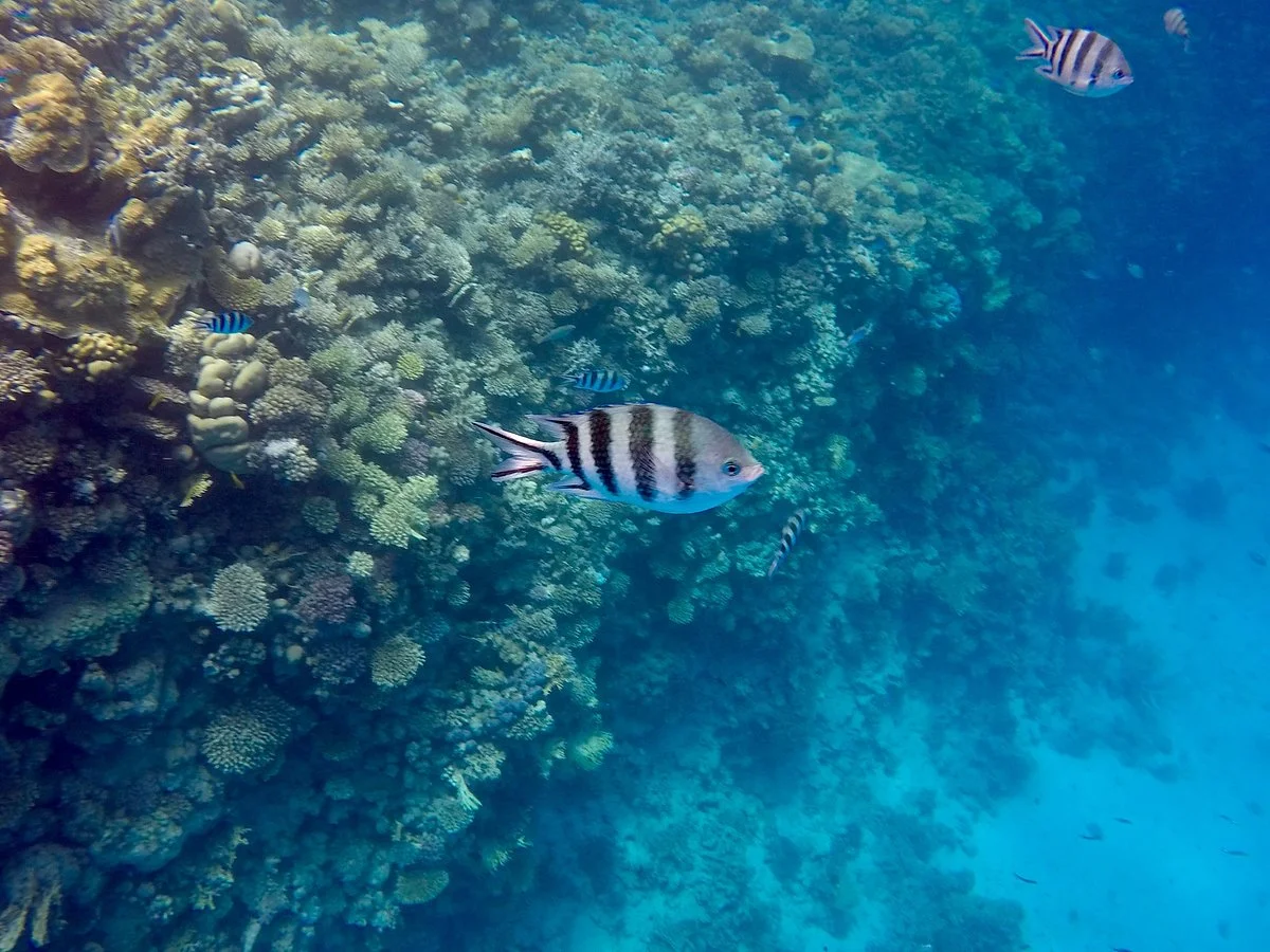 Hurghada Adventure