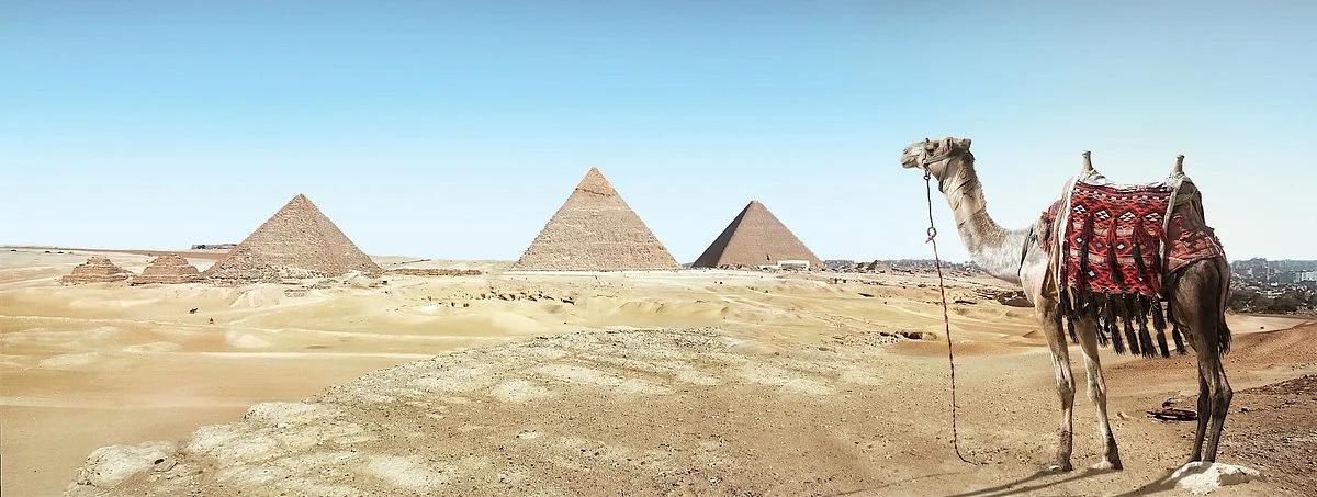Lama Egypt Tours