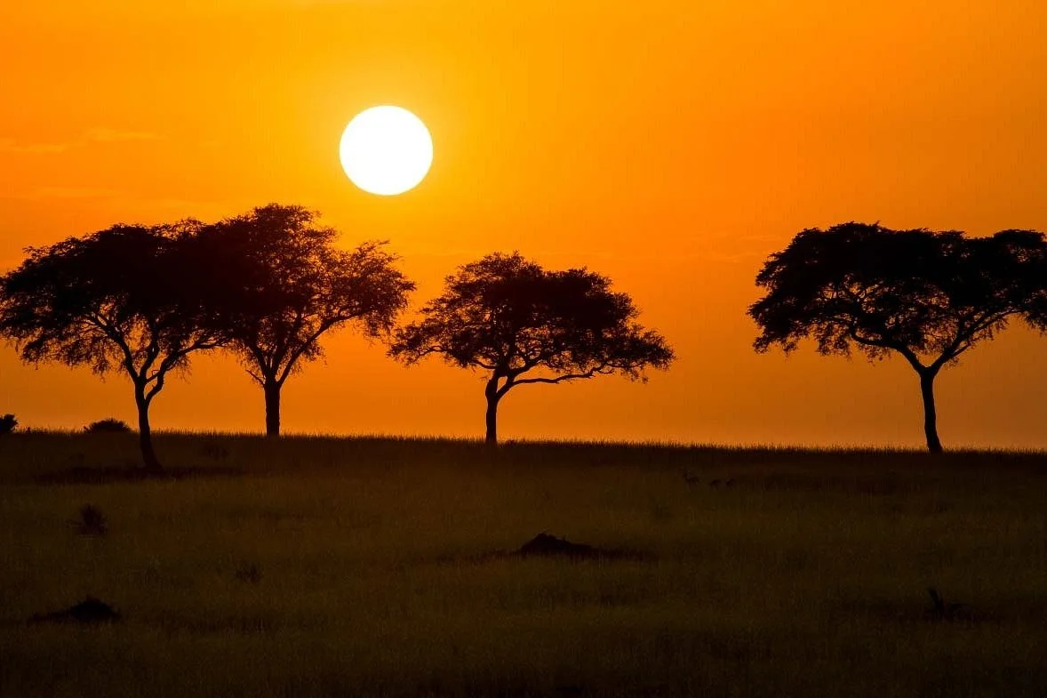 Flawless Safaris and Adventures