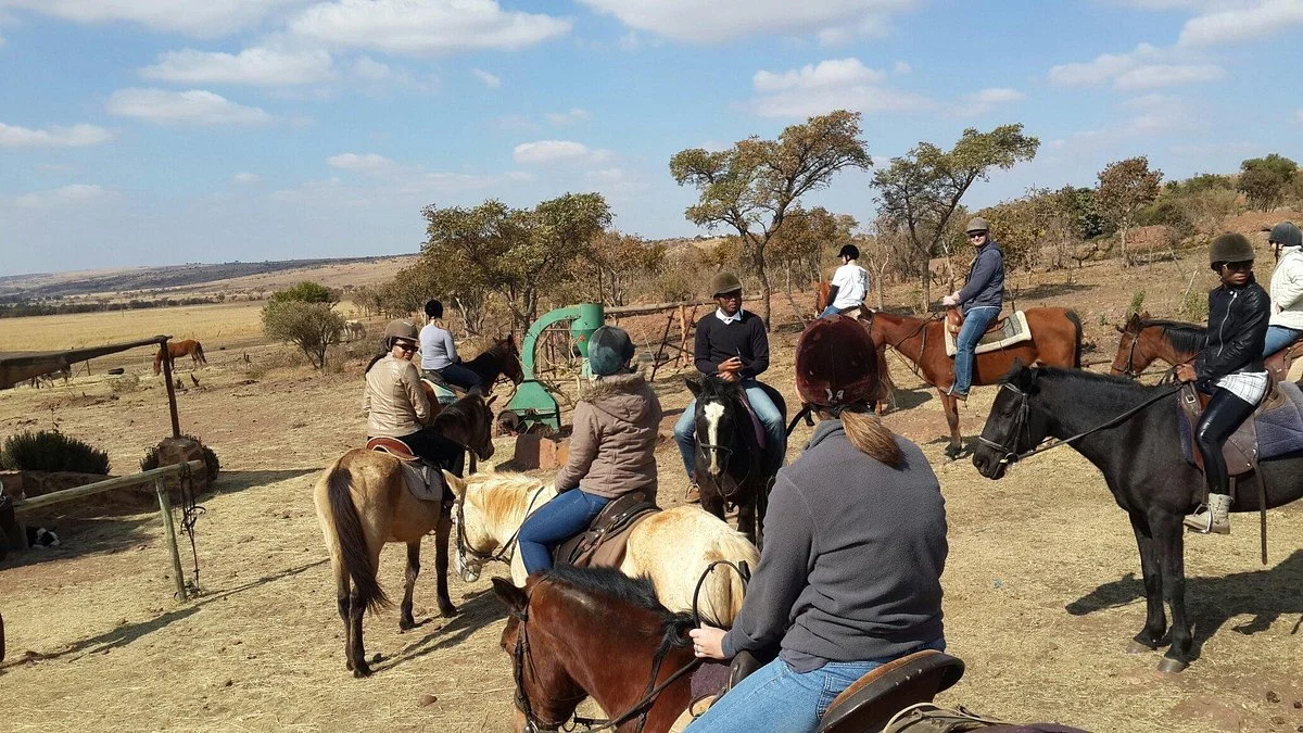 Horse Riding Adventures