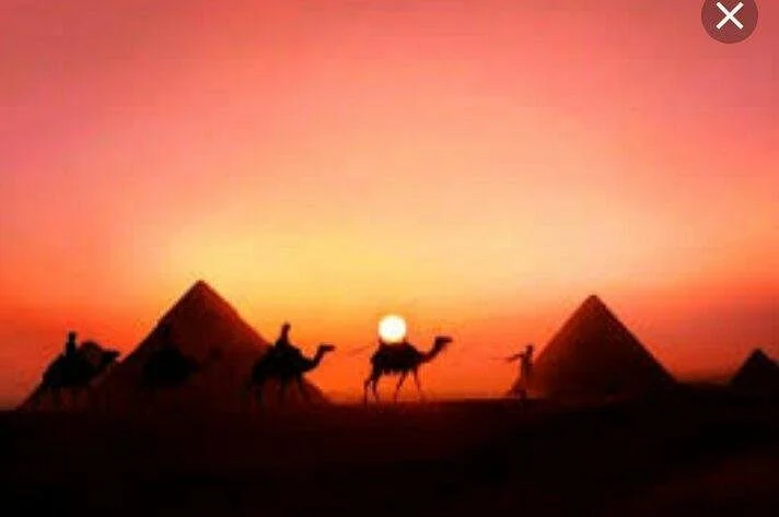 Neftis tours egipto