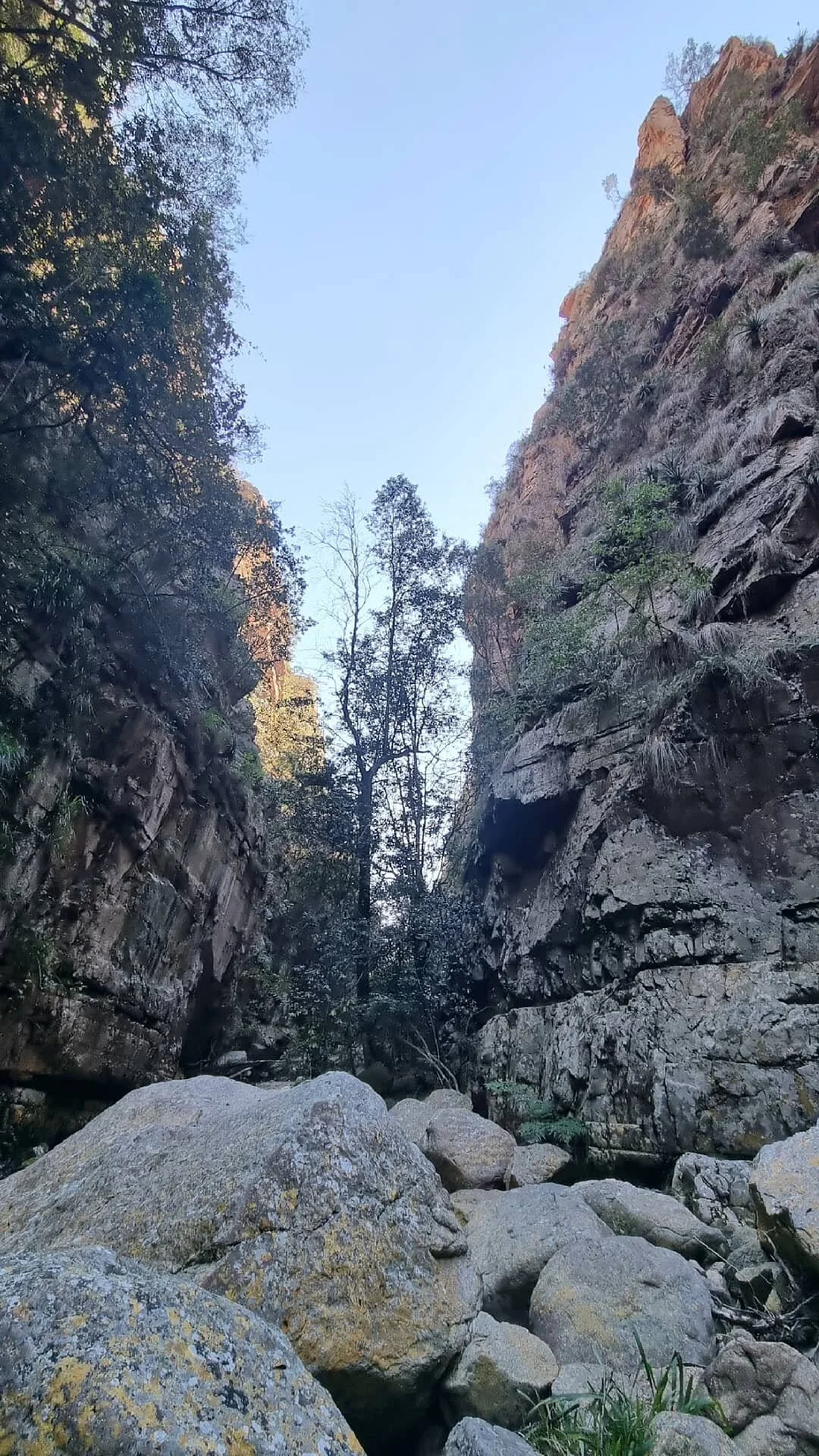 Tallulah Trails(pty)
