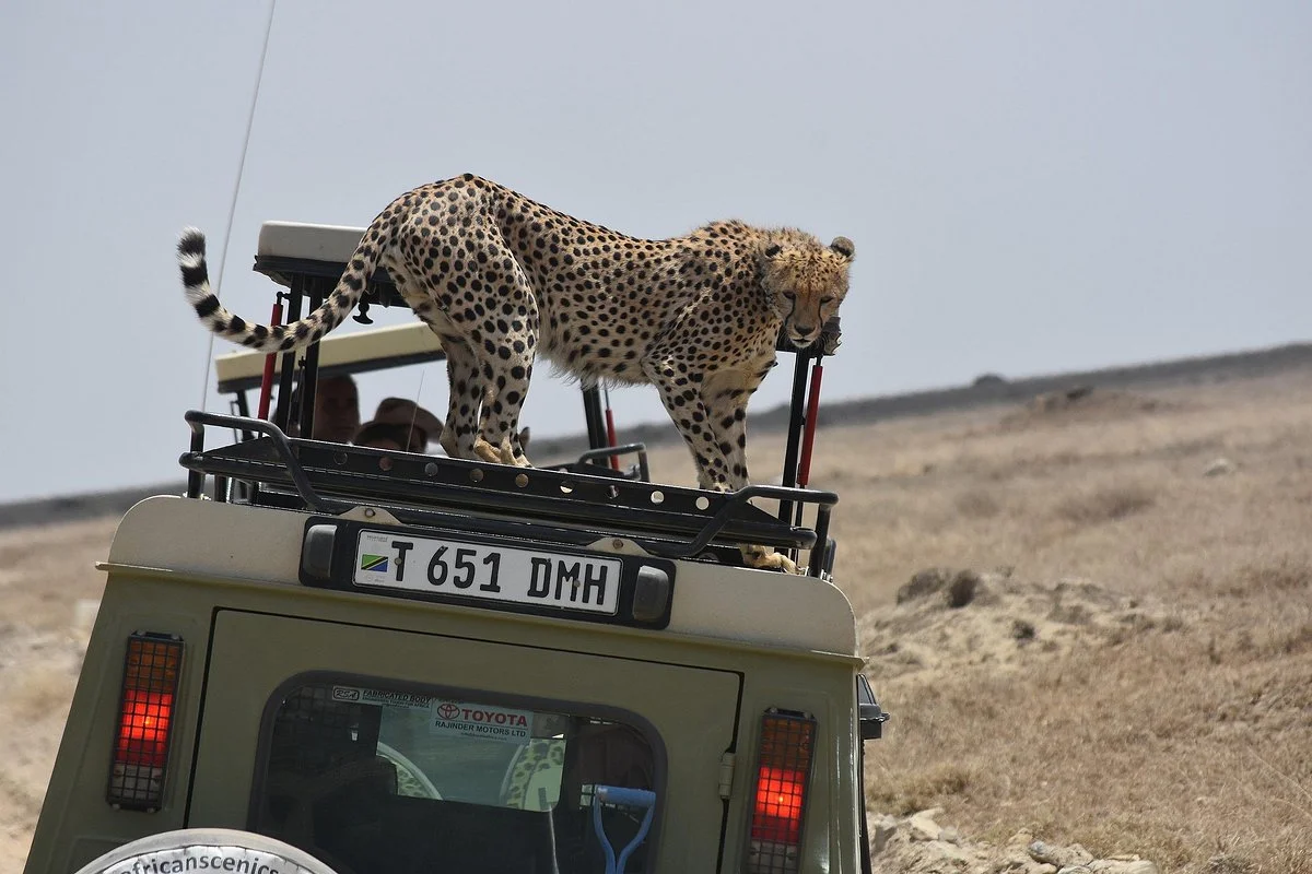 Burigi Tours and Safaris Ltd