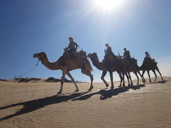 Gagatravel Tours