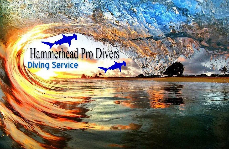 Hammerhead Pro Divers