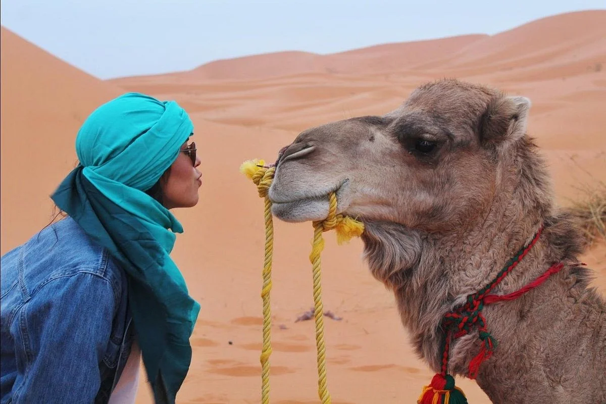 Morocco Unlimited Dreams