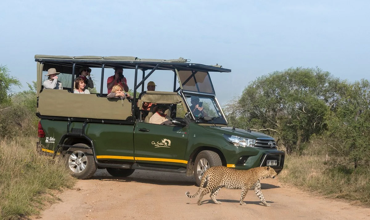 On Safari Africa