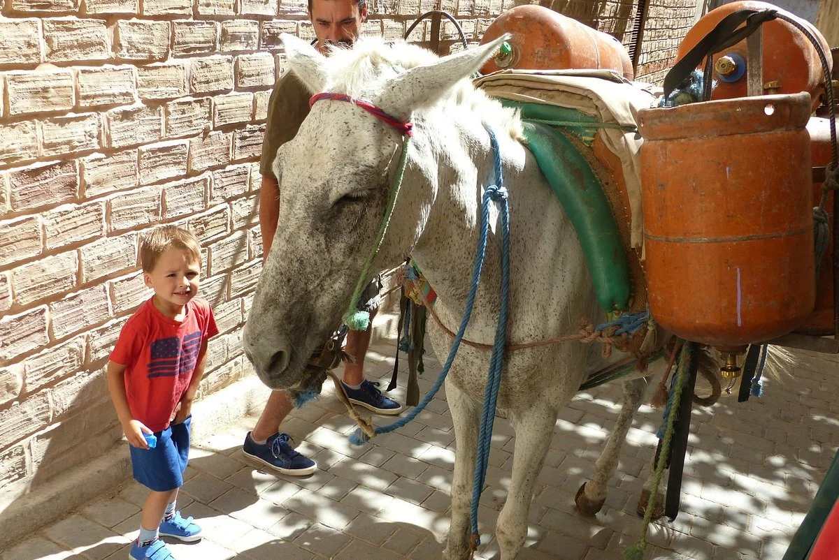 Morocco Private Guide, Day Trips & Tours