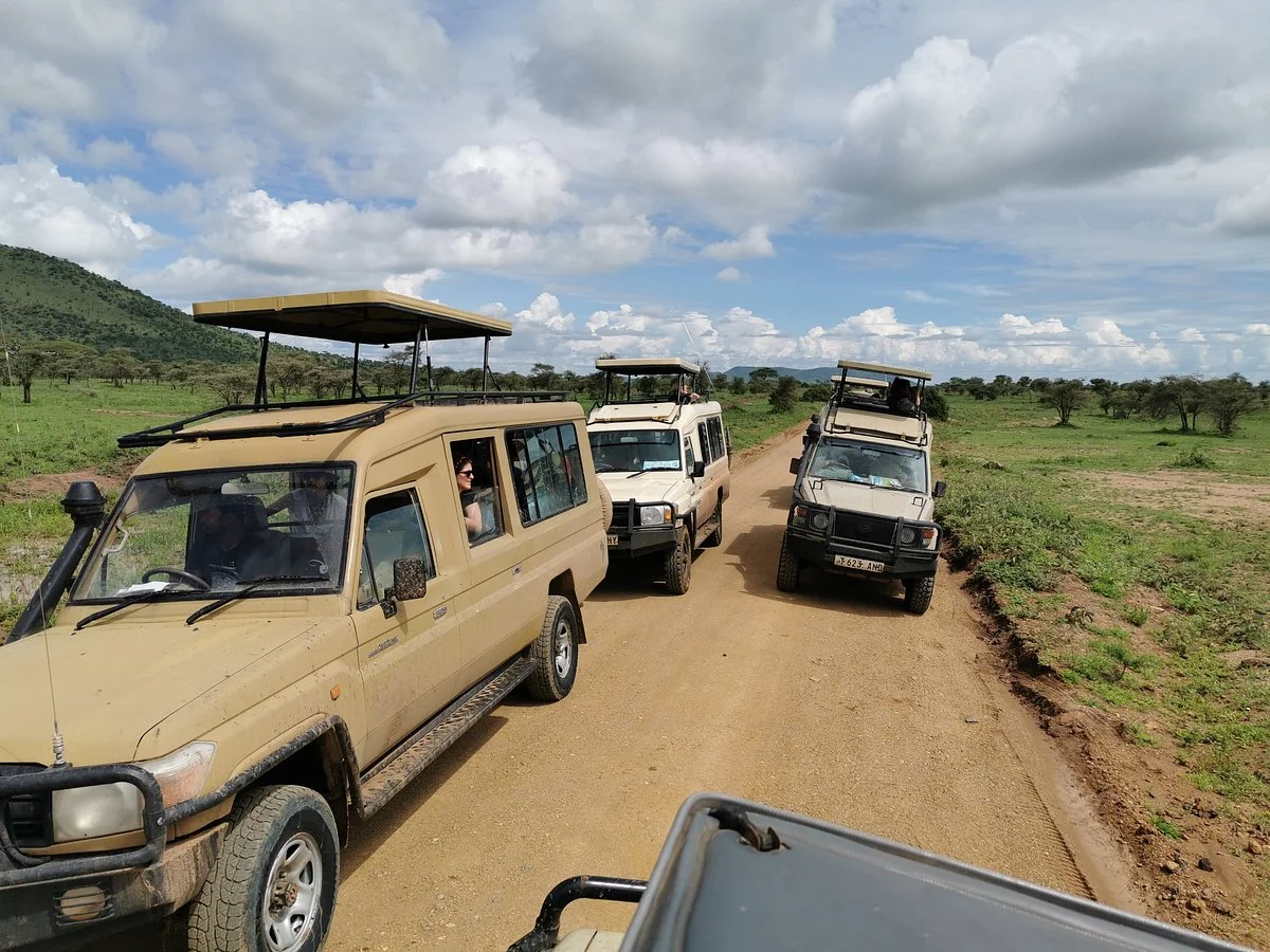 Tanzania Travel Group