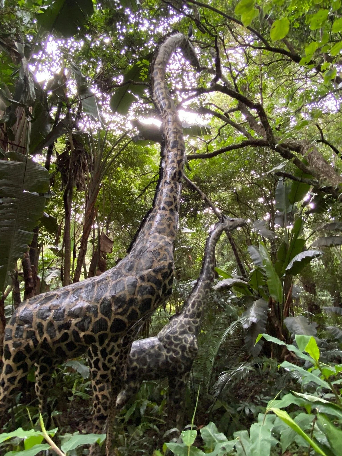Ammazulu Garden and Sculpture Precinct