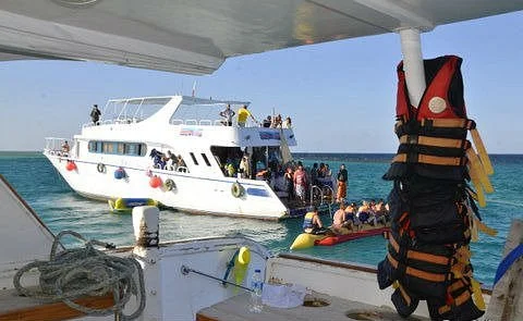 Best Trips