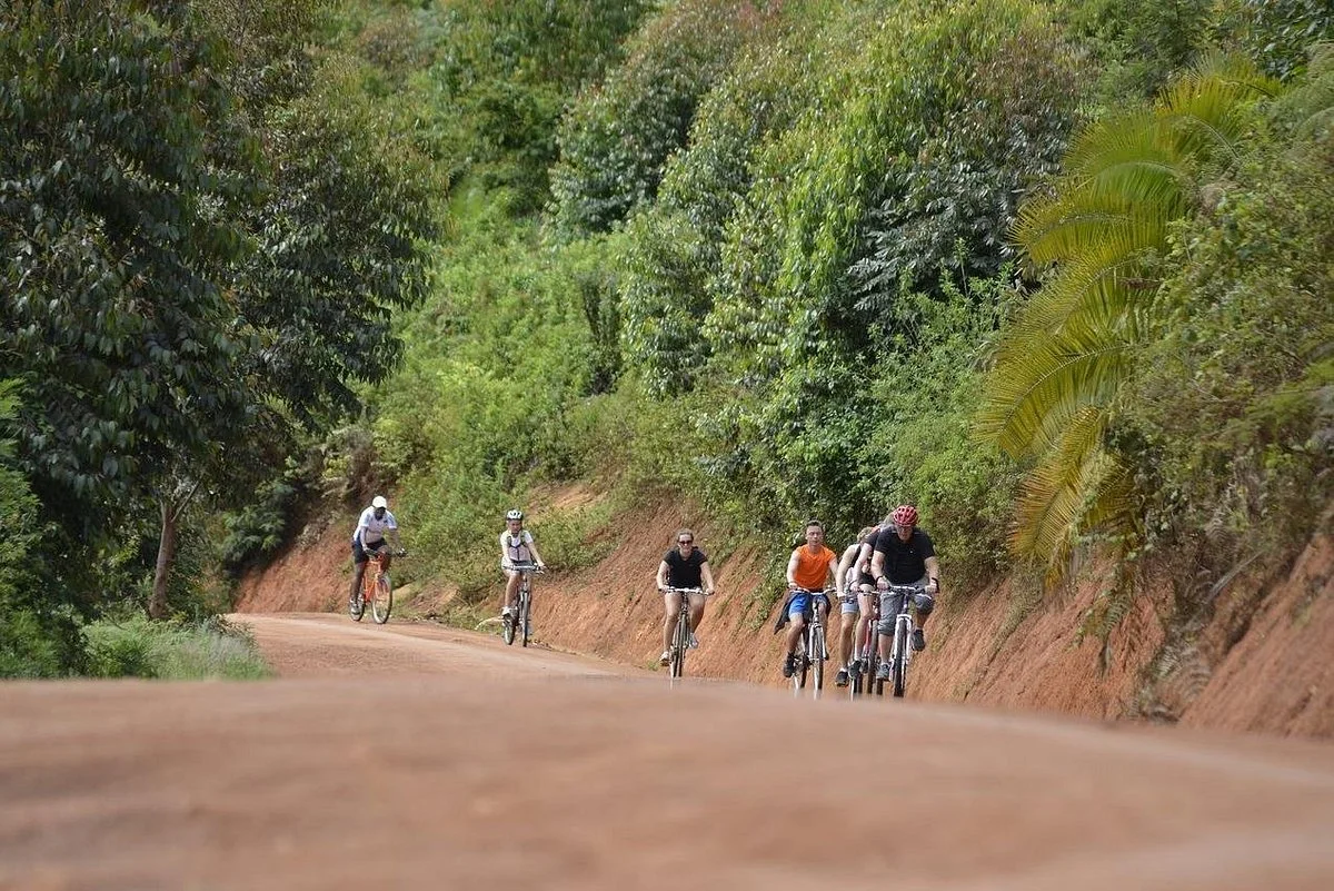 YPM Bike Rental