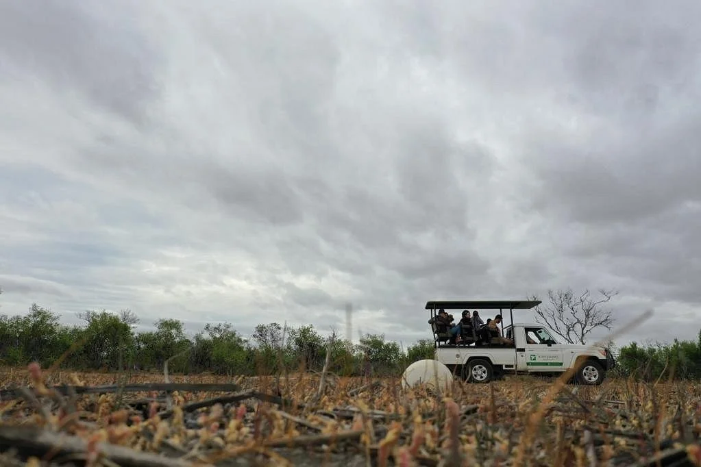 Nuwejaars Wetlands Guided Tours