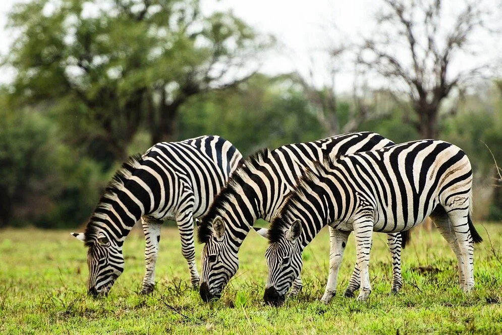 Mwamba Expeditions