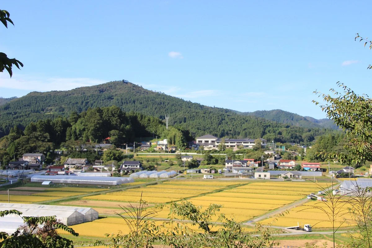Minamisanriku Portal Center