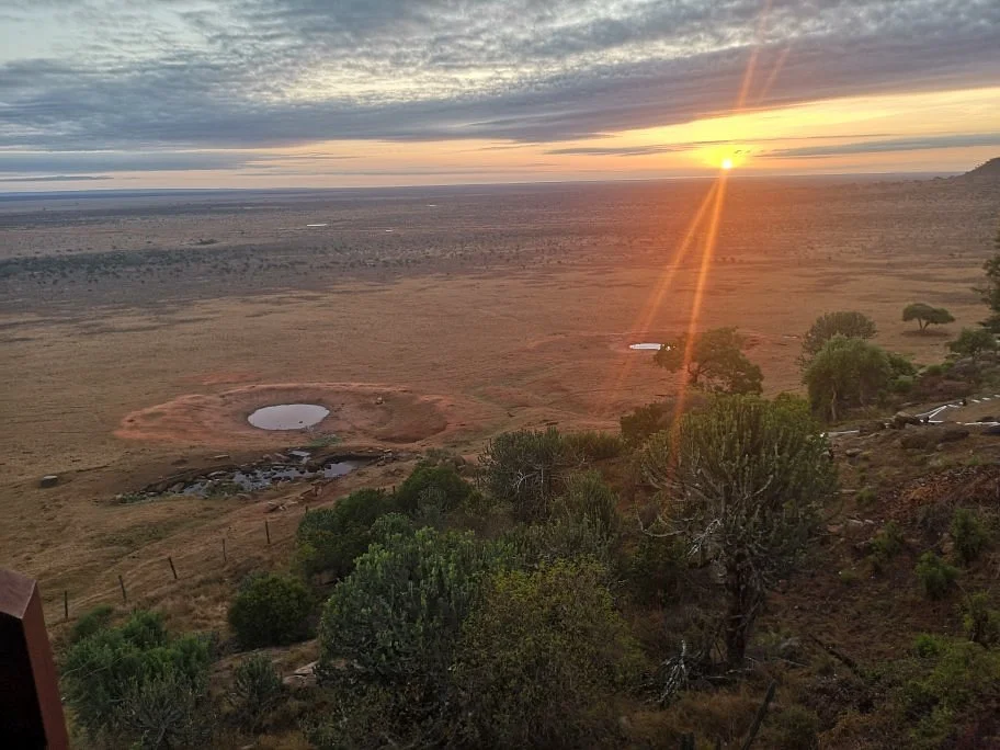 Isaac MK Safaris Day Tours