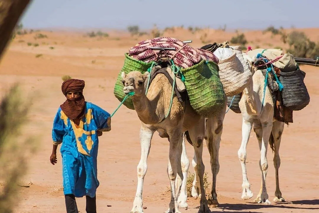 Contes Du Desert