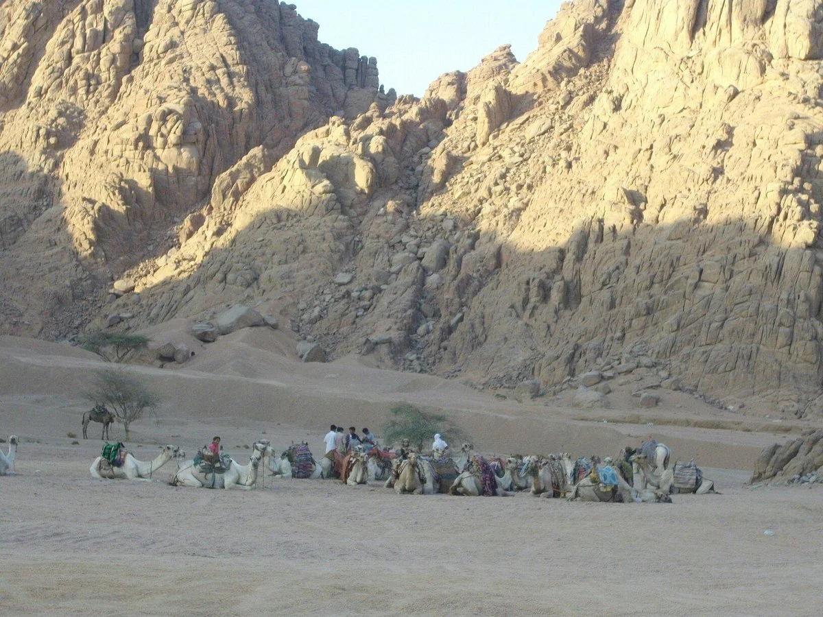 Nabq Bay Excursions