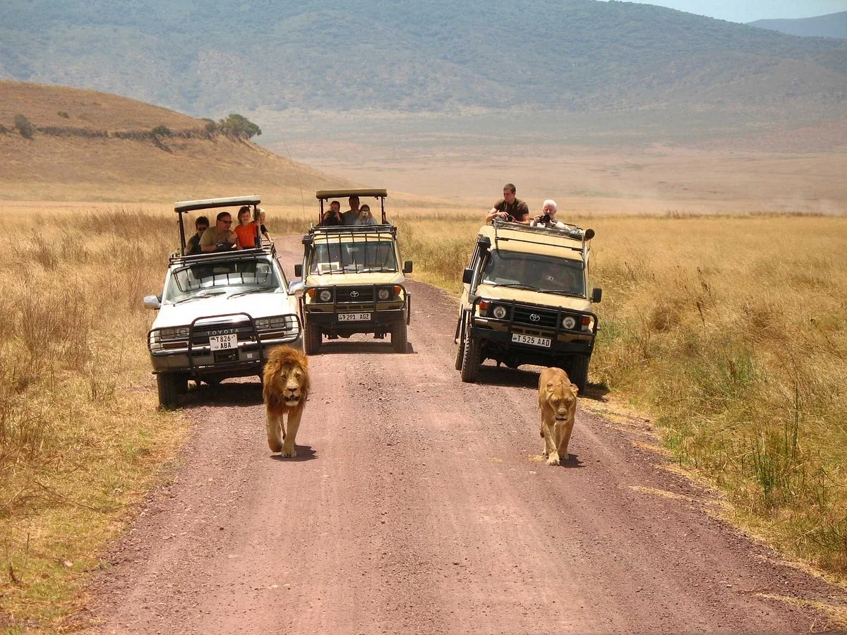 Untamed Safaris