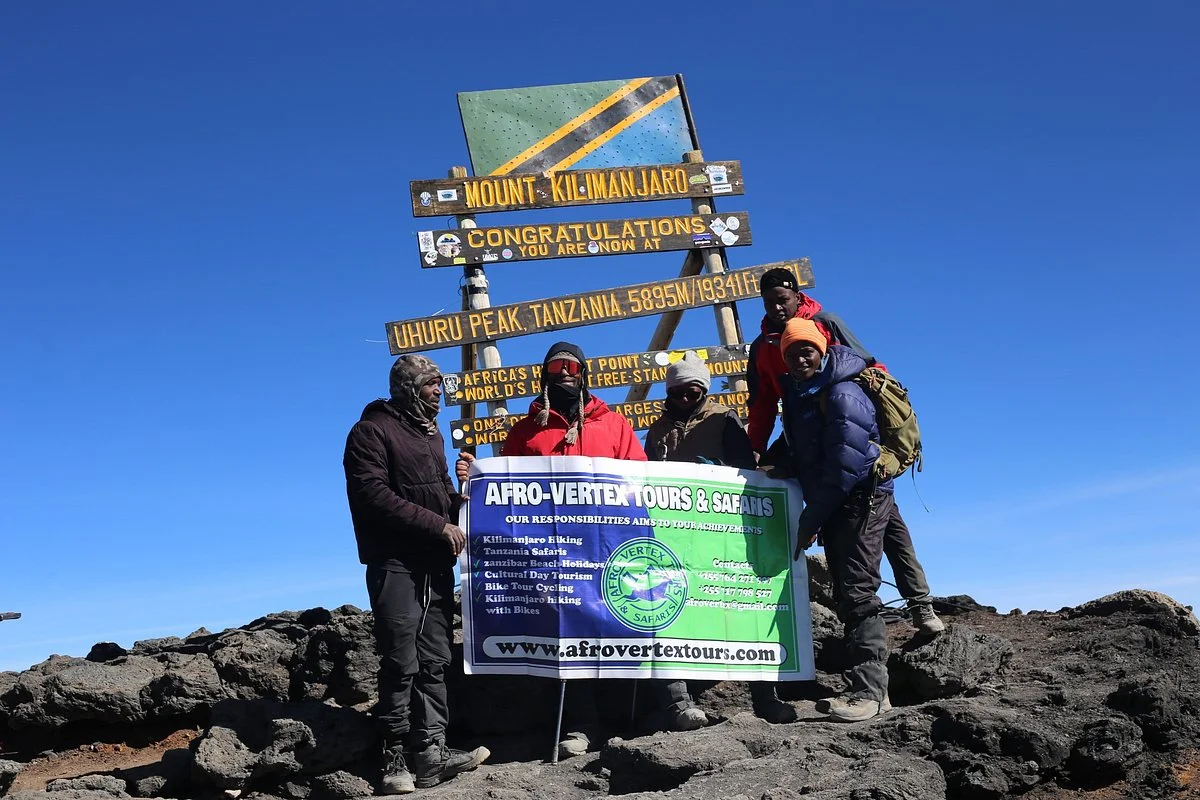 Afro-Vertex Tours & Safaris