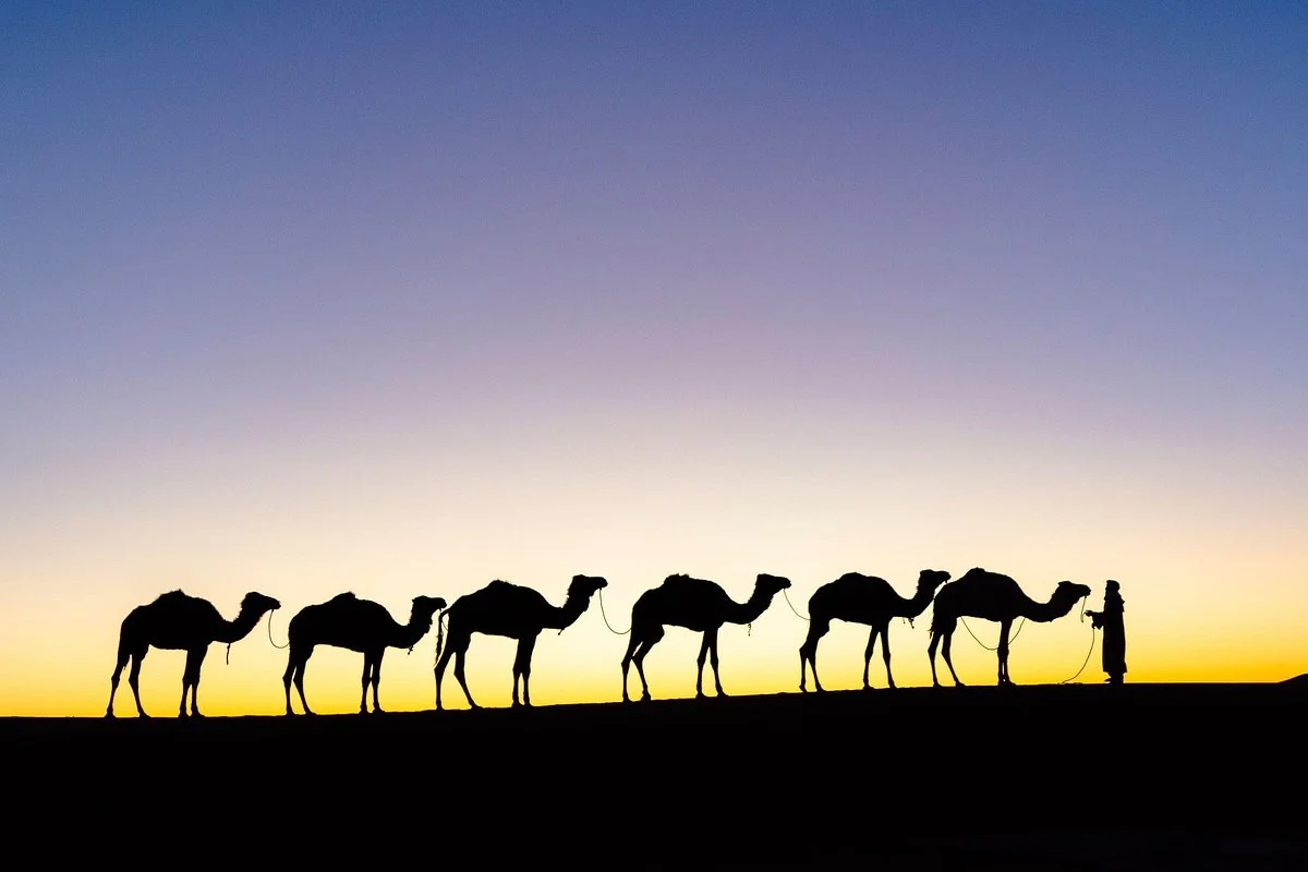 Noble Marhaba Travel