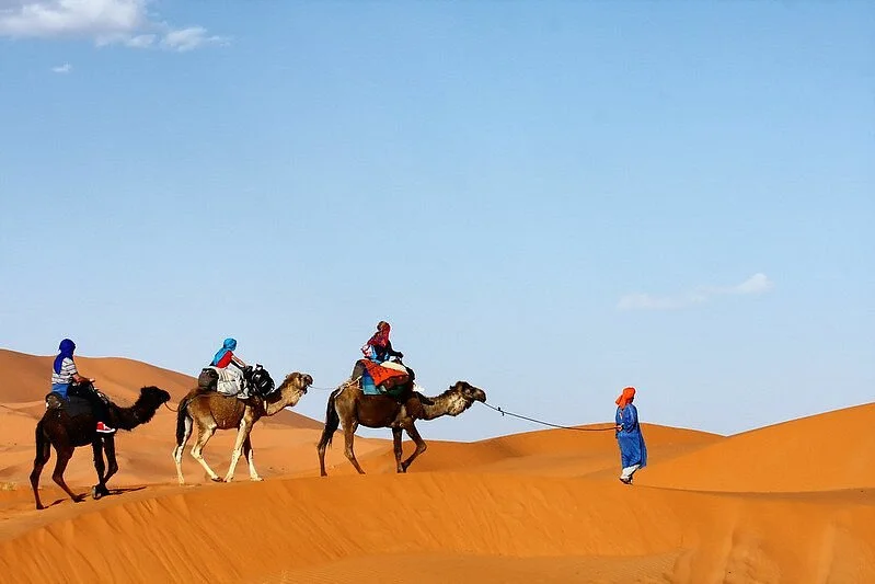 Morocco Tours Guides
