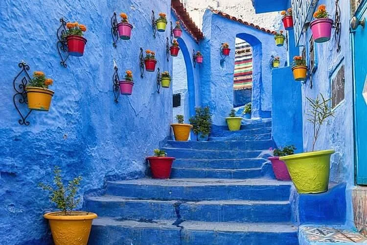 Majestic Morocco Trips
