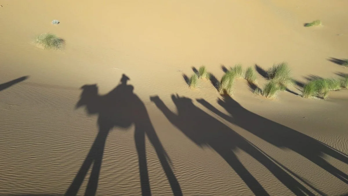 Viajes Marrakech Desierto