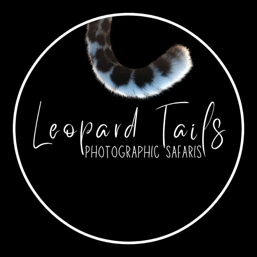 Leopard Tails Safaris