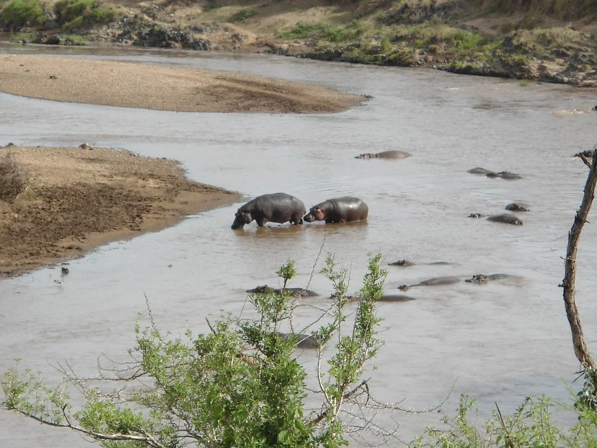 Dasaka Tours and Safaris - Private Day Tours